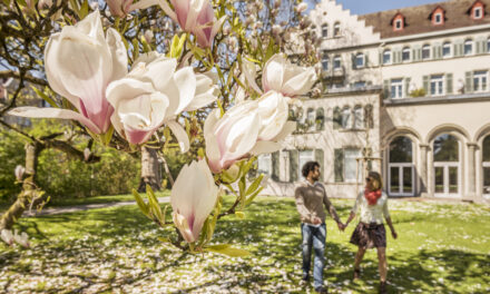 Ostererlebnisse in Konstanz 2024: Frühlingsfrisch, genussvoll, unterhaltsam - Archiviert