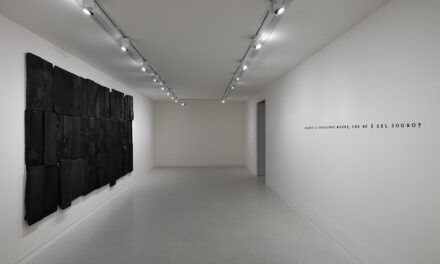 NMNM – Nouveau Musée National de Monaco: Pier Paolo Calzolari – Casa Ideale