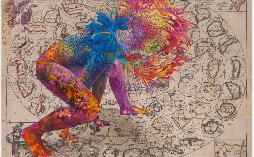 Kunstmuseum Wolfsburg: Firelei Báez. Trust Memory Over History - Archiviert