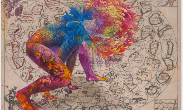 Kunstmuseum Wolfsburg: Firelei Báez. Trust Memory Over History