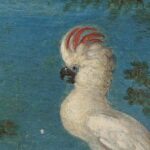 Das Mauritshuis: Roelant Savery’s Wunderbare Welt