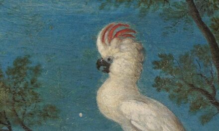 Das Mauritshuis: Roelant Savery’s Wunderbare Welt