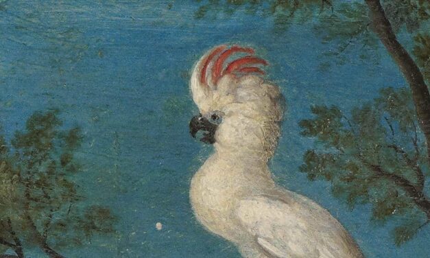 Das Mauritshuis: Roelant Savery’s Wunderbare Welt