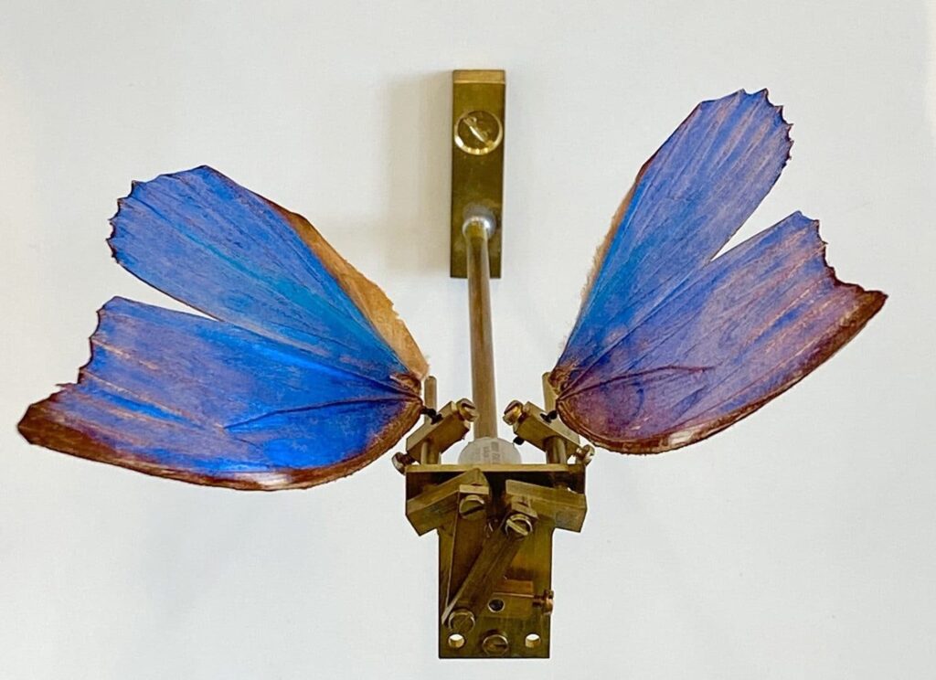 Rebecca Horn, Schmetterling, Detail, Schmetterling, Stahl, mechanische Teile und Elektromotor, 1990, Archiv Rebecca Horn © VG Bild-Kunst, Bonn 2024