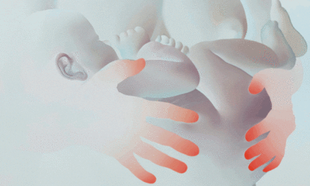 Paula Modersohn-Becker Museum in Bremen: Vivian Greven - Archiviert