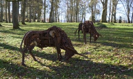 Kurpark Bad Hall: Sonderausstellung „verspielt” - Archiviert