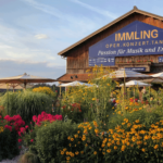 Immling Festival 2024: mitmenschlich