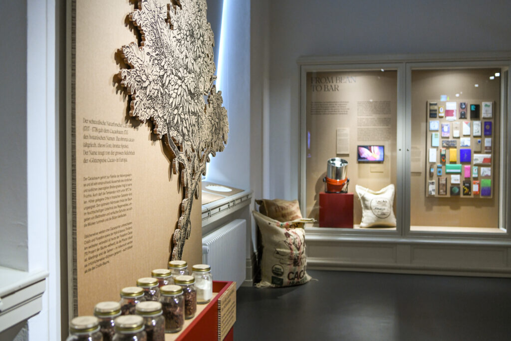 Blick in die Ausstellung © Kulturmuseum St. Gallen