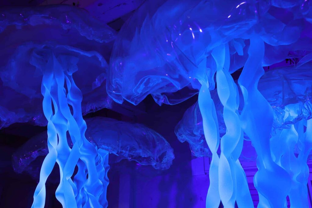 West auf Nordwest © IAK / TU Braunschweig