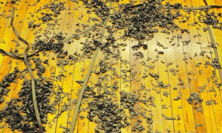 Kunstmuseum Liechtenstein: Barry Le Va – In a State of Flux