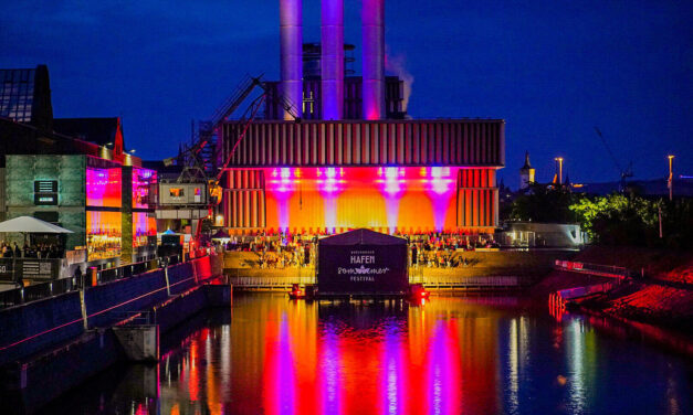 Würzburger Hafensommer Festival 2024