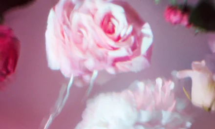 Wiener Staatsoper: Iolanta