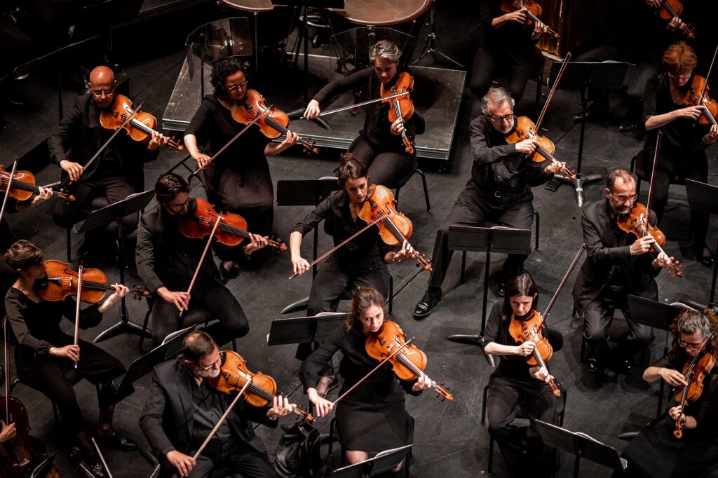 Orchestre des Champs Elysees © Antoine Ollier