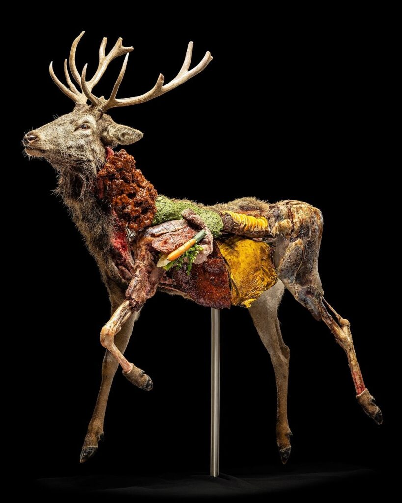 Johannes Rass/Bildrecht, Animal on Stage / Cervus Elaphus, 2023, Mixed Media, Performance, Fotografie, 200x180 cm, Foto: Roland Zygmunt