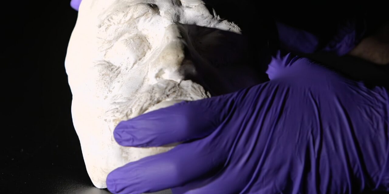 Jüdisches Museum Wien: RAUB - Archiviert