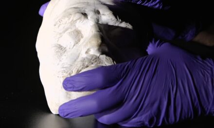 Jüdisches Museum Wien: RAUB - Archiviert