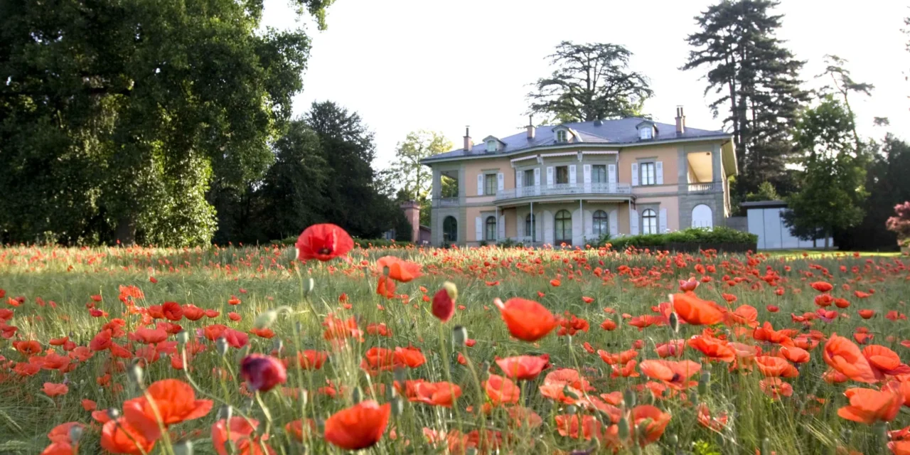 Fondation de l’Hermitage in Lausanne: Meisterwerke des Museums Langmatt. Boudin, Renoir, Cézanne, Gauguin…