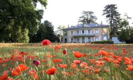 Fondation de l’Hermitage in Lausanne: Meisterwerke des Museums Langmatt. Boudin, Renoir, Cézanne, Gauguin…