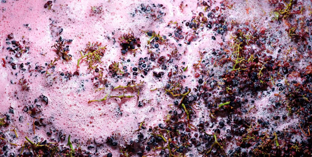 Wein & Sinnlichkeit. Der Fotograf Johann Willsberger entdeckt das griechische Symposion © Staatliche Antikensammlungen und Glyptothek