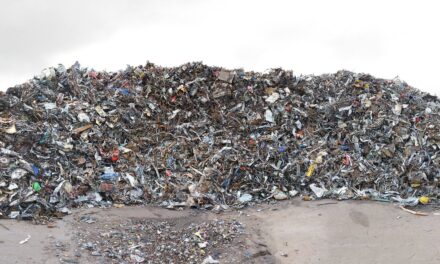 Kunsthalle Krems: Gabriele Engelhardt – Kremser Berge