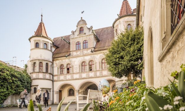 RathausOper Konstanz 2024: RITA von Gaetano Donizetti