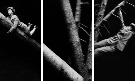 Kunsthalle Krems: Anna & Bernhard Blume – Komplizenschaft (A=B)