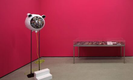 Museum der Moderne Salzburg: Der Raum in unseren Köpfen. Die Sammlungen