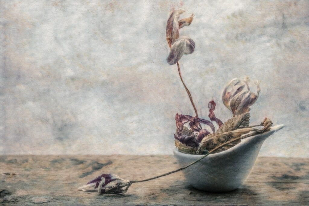 Christine Ottowitz, Ausstellung "Seelengarten", VI Tulpe in Schifferl © Christine Ottowitz