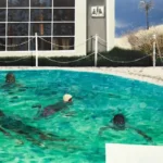 Centre d’Art Contemporain Genève: Antonio Obá - Rituals of Care