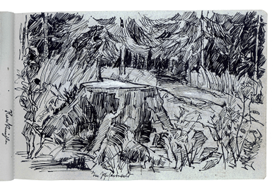 Aus der Ausstellung "O(H) Wald, Skizzenbuch Baumstumpf im Pfisterwald © Städtische Galerie Offenburg