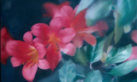 Museum Kunstpalast Düsseldorf: Gerhard Richter. Verborgene Schätze