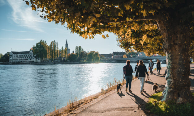 Konstanz im Herbst:  Highlights, sonnige Rundfahrten & Hopping