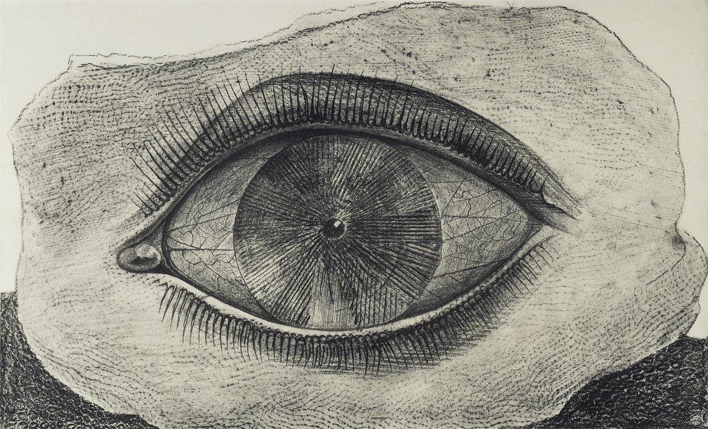 Max Ernst: Lichtrad / la roue de la lumière, aus: Histoire Naturelle, Blatt 29, 1926. Lichtdruck nach Frottage, 32,5 x 50 cm. Sammlung Würth © VG Bild-Kunst, Bonn 2024