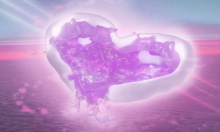 Landesgalerie Burgenland in Eisenstadt: Hannah & Lea Neckel. ✮*•̩̩͙✧•̩̩͙*˚✧*˚ floating through reality ˚*✧˚*•̩̩͙✧•̩̩͙*˚✮