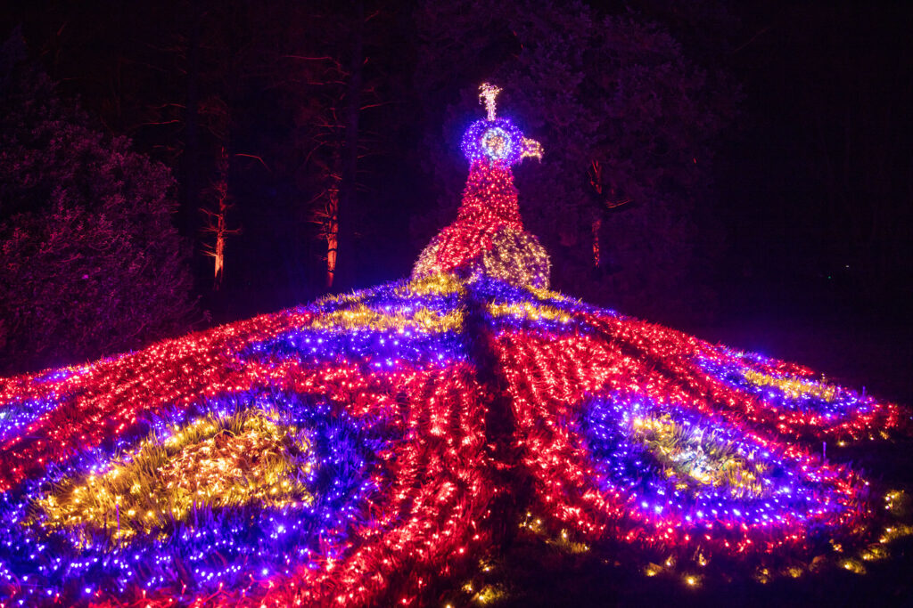 Konstanz, Mainau, Christmas-Garden © MTK, Achim-Mende