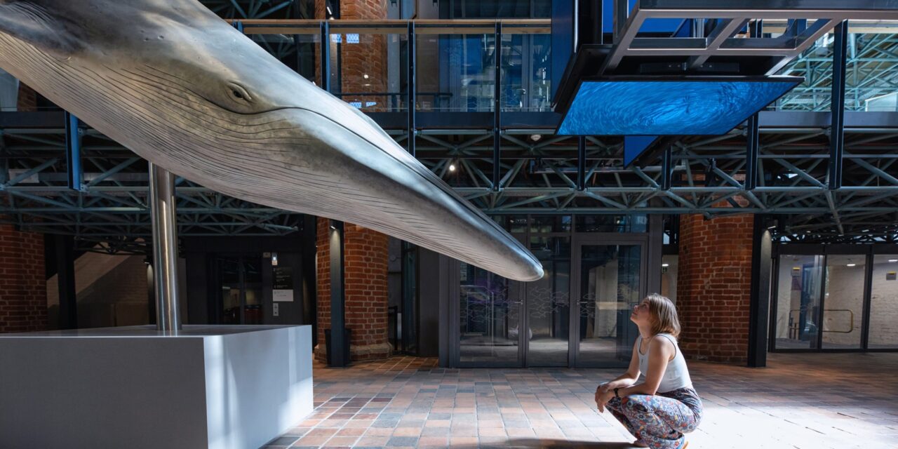 MEERESMUSEUM Stralsund: Vom Ursprung zur Vielfalt im Meer