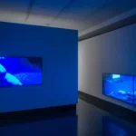 FOTO ARSENAL WIEN: SIMON LEHNER. CLEAN THOUGHTS. CLEAN IMAGES